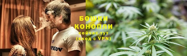 винт Сосновка