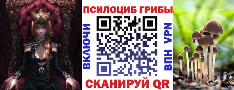 Галлюциногенные грибы прущие грибы купить наркотики цена Колпашево