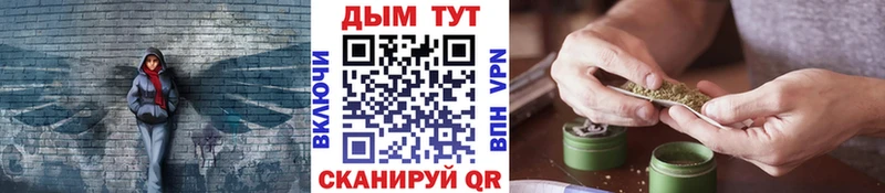 Бошки марихуана сатива  наркотики  Колпашево 